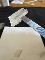 IMG_6905.jpeg