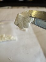 IMG_8116.jpeg