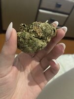IMG_4448.jpeg
