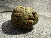IMG_0173.jpeg