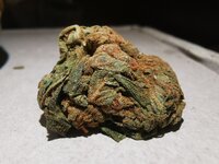 IMG_20250417_225111.jpg