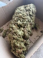 IMG_2296.jpeg