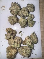 IMG_9131.jpeg