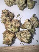 IMG_9136.jpeg