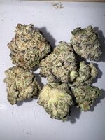 IMG_9127.jpeg