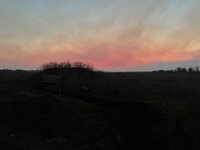 IMG_0100.jpeg