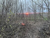 IMG_0033.jpeg