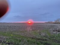 IMG_0031.jpeg