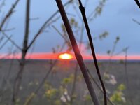 IMG_0029.jpeg