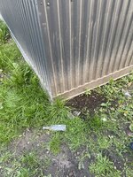 IMG_0076.jpeg