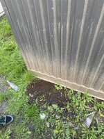 IMG_0078.jpeg