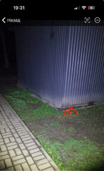 IMG_3438.jpeg