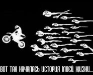 IMG_8890.jpeg
