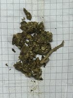 IMG_5508.jpeg