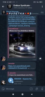 Screenshot_2025-04-29-17-31-28-911_org.telegram.messenger.jpg