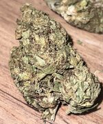 IMG_5082.jpeg