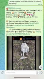 IMG_3311.jpeg