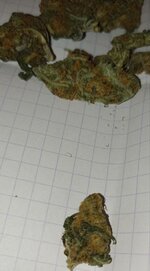 IMG_20230721_100112_380.jpg