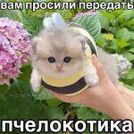 1000001005.jpg