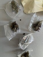 IMG_0997.jpeg