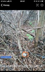 IMG_3342.jpeg