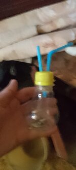 IMG_20250502_093345.jpg