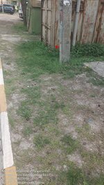C8065BEC-3EBF-499E-A45C-4101925F7D23.jpeg