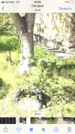 5CAA9D20-6969-47C6-850C-1CCAF51976E2.png