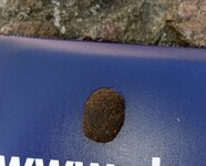 IMG_2134.jpeg