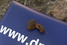 IMG_2133.jpeg
