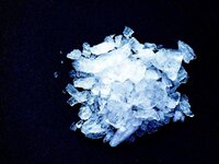 IMG_8220.jpeg