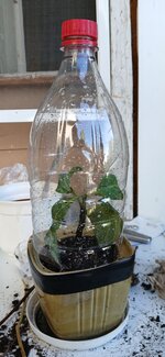 20250503_163454.jpg 20250503_163454.jpg