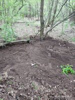 IMG_20250503_142756.jpg
