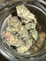 IMG_1810.jpeg