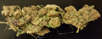 IMG_20250503_230653.jpg