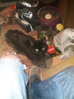 20250503_231130.jpg