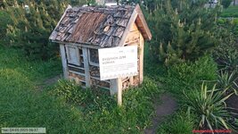 20250504_063756.jpg