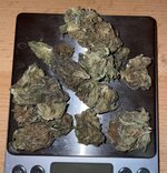IMG_0735.jpeg