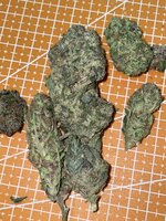 IMG_2435.jpeg