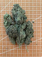 IMG_2430.jpeg