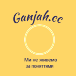641d6e1615c04038954b97b2af9b8ae6-free.png