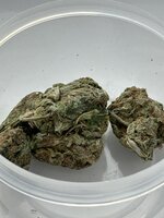 IMG_6729.jpeg