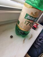 20250504_160204.jpg