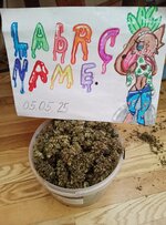 IMG_20250504_163209_064.jpg