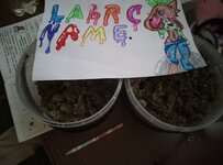 IMG_20250503_202333_515.jpg