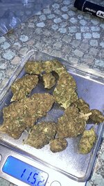 IMG_5255.jpeg
