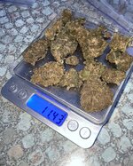 IMG_5254.jpeg