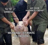 IMG_1945.jpeg