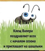 IMG_1966.jpeg