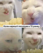 IMG_1971.jpeg